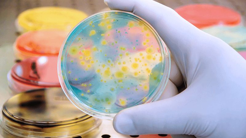 生物科技公司加盟，费用构成解析