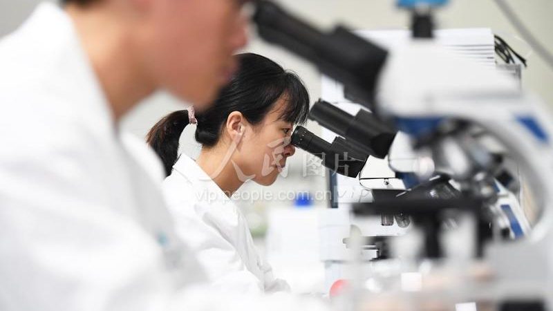培养基性价比高的关键考量因素**