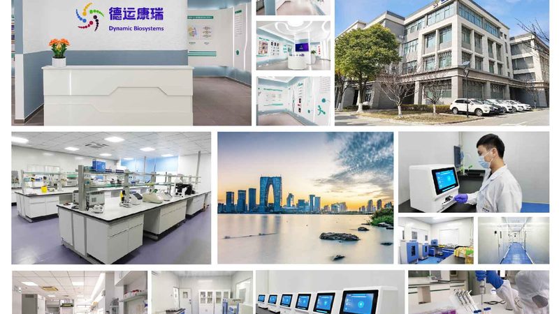 创新药CDMO临床试验用药定制：从工艺到交付的硬核拆解