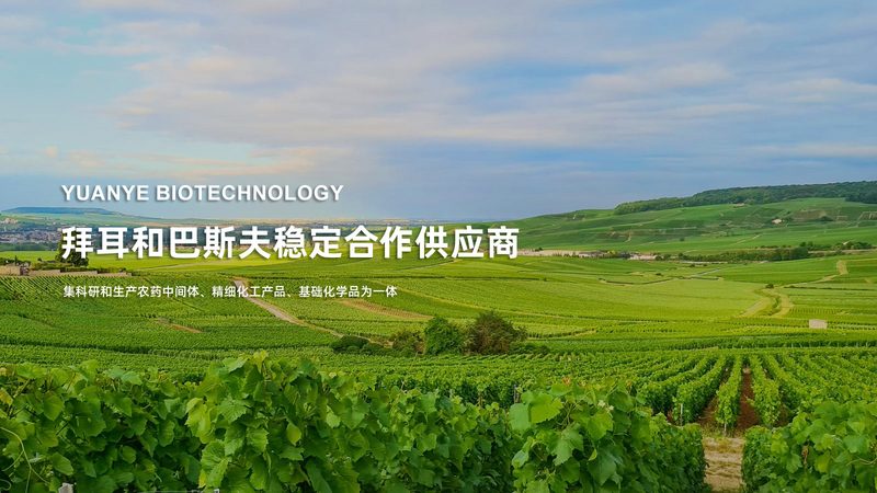食品级酶原料的“生命之源”：揭秘其来源与质量标准**