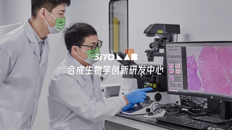 实验室耗材材质：揭秘如何选择高品质产品