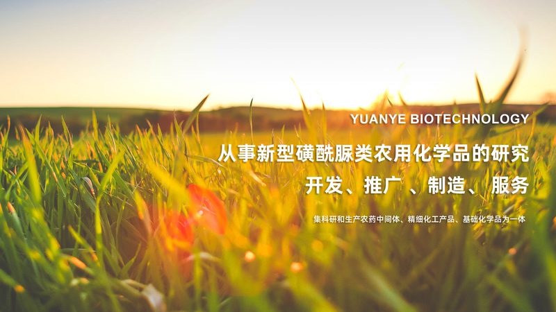 CDMO技术平台：揭秘制药行业背后的强大支撑