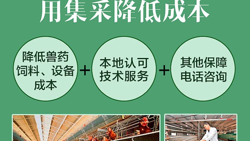 基因检测结果的长期有效性：如何确保准确与可靠