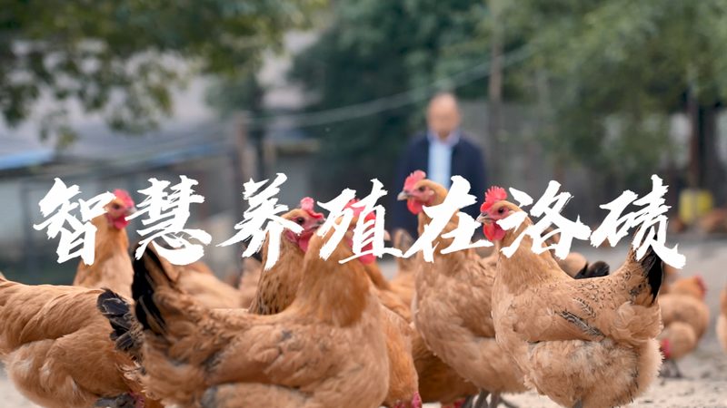 引物合成：生物科技研究中的关键一环**