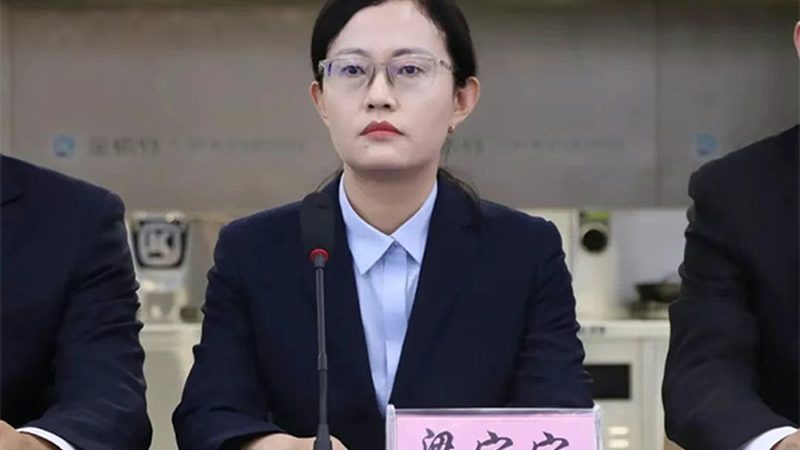 国产高保真聚合酶：揭秘其背后的技术奥秘与应用**