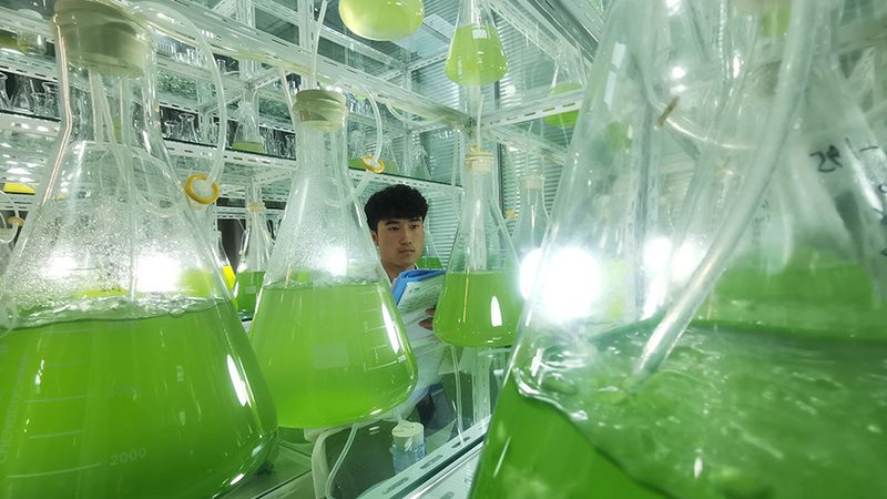 PCR检测标准操作规程：精准检测的基石
